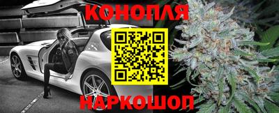 СК Славгород
