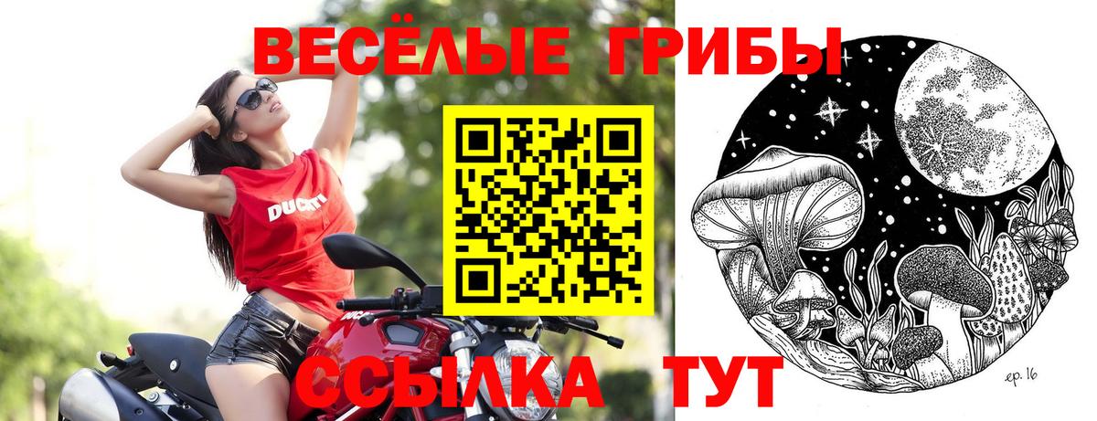 купить  сайты  Галлюциногенные грибы Cubensis  Вход с VPN  Галлюциногенные грибы ЛСД  Павловский Посад 